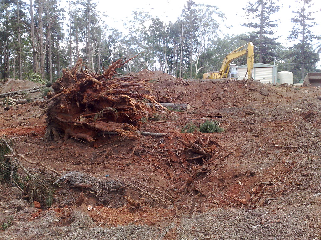 Cleared ground with extracted root wads and an excavator working in the background