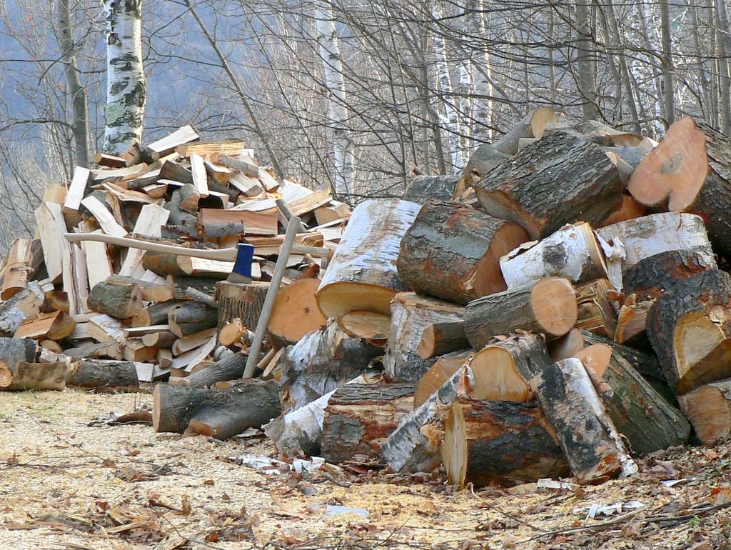 Pile of freshly bucked tree trunk rounds beside a house after a removal